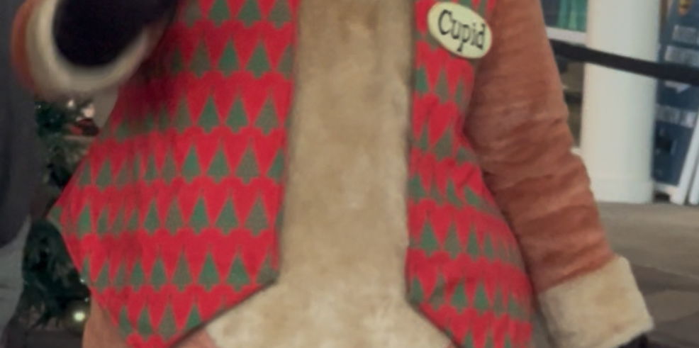 Family looking at holiday lights